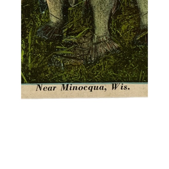 Vintage 1932 Lithograph Ephemera Postcard Humor Mess Of Fish Near Minocqua, WISC - Picture 4 of 9